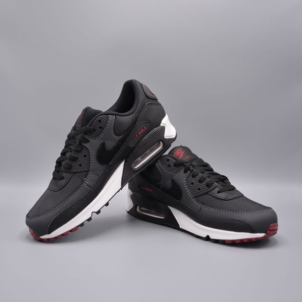 Кросівки Nike Air Max 90 DQ4071-001 фото
