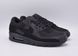 Кросівки Nike Air Max 90 CN8490-003 фото 2