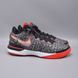 Кроссовки Nike ZOOM Lebron NXXT Gen DR8784-001 фото 1