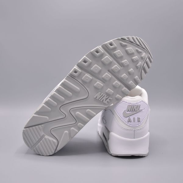 Кроссовки Nike Air Max 90 FN8005-100 фото