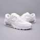 Кроссовки Nike Air Max 90 FN8005-100 фото 2