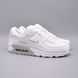 Кроссовки Nike Air Max 90 FN8005-100 фото 1