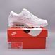 Кроссовки Nike Air Max 90 FN8005-100 фото 7
