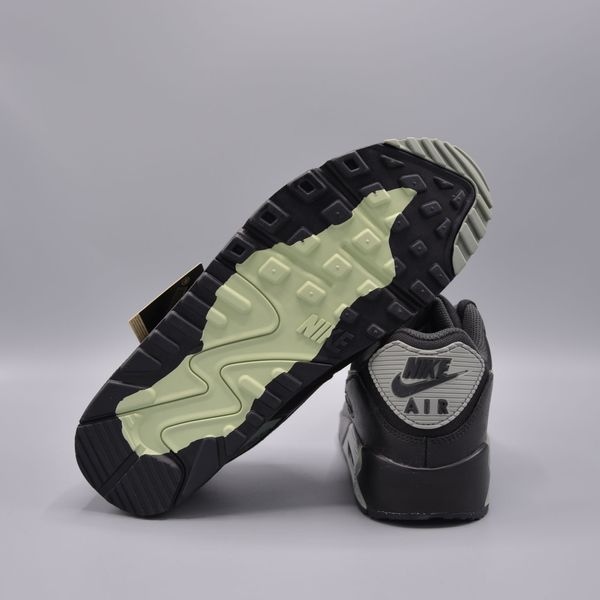 Кросівки Nike Air Max 90 GTX FD5810-001 фото