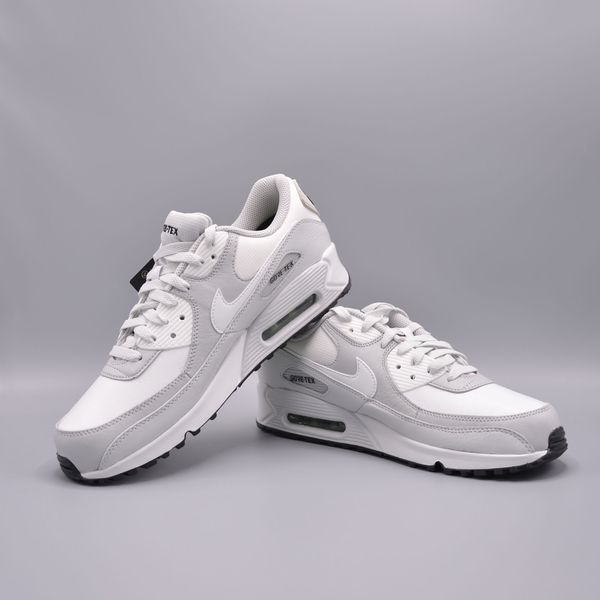 Кросівки Nike Air Max 90 GTX DJ9779-003 фото