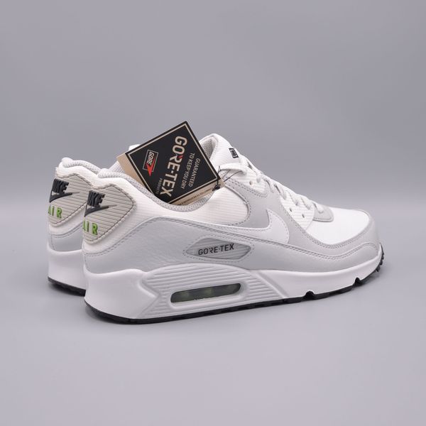 Кросівки Nike Air Max 90 GTX DJ9779-003 фото