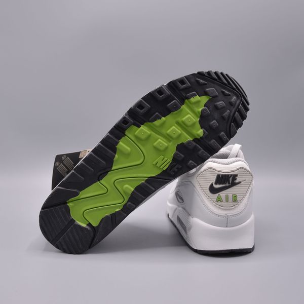 Кросівки Nike Air Max 90 GTX DJ9779-003 фото