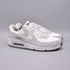 Кросівки Nike Air Max 90 GTX DJ9779-003 фото 1