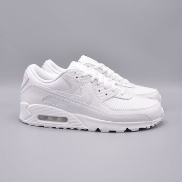 Кросівки Nike Air Max 90 LTR CZ5594-100 фото